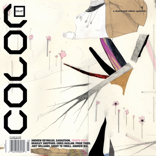 color-cover-43-1st-news-update